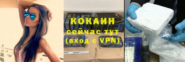 ALPHA PVP Богородицк