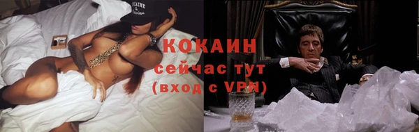 ALPHA PVP Богородицк