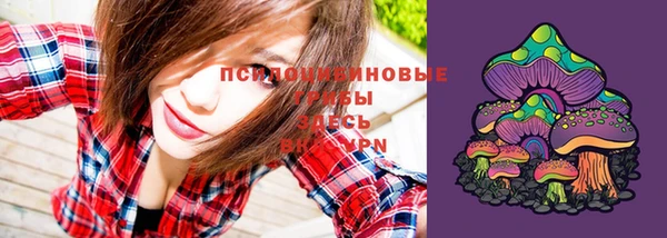 apvp Белоозёрский