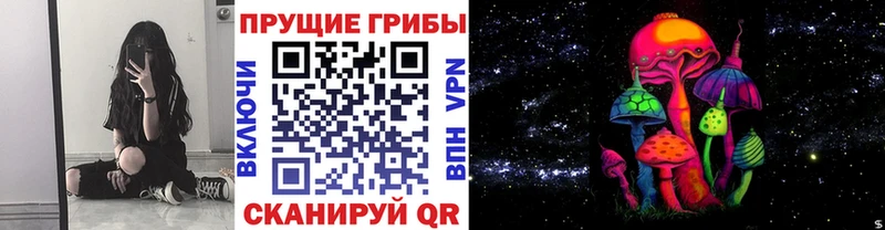 где купить   блэк спрут маркетплейс  Псилоцибиновые грибы Magic Shrooms  Крым 